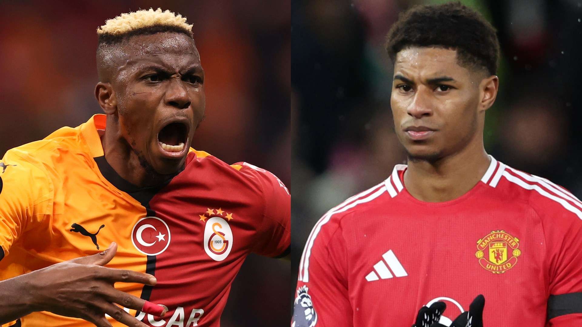 到了全面提 到了全面提